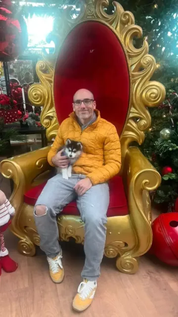 Pomsky 13 Cliente satisfecho recogiendo su cachorro Pomsky